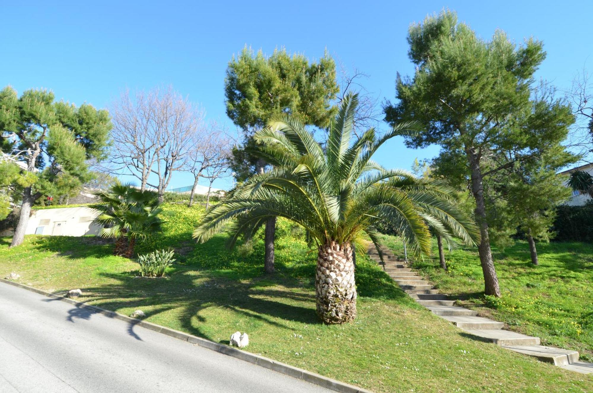 Appartement 5 personnes avec piscine sur la Corniche Fleurie à Nizza Esterno foto